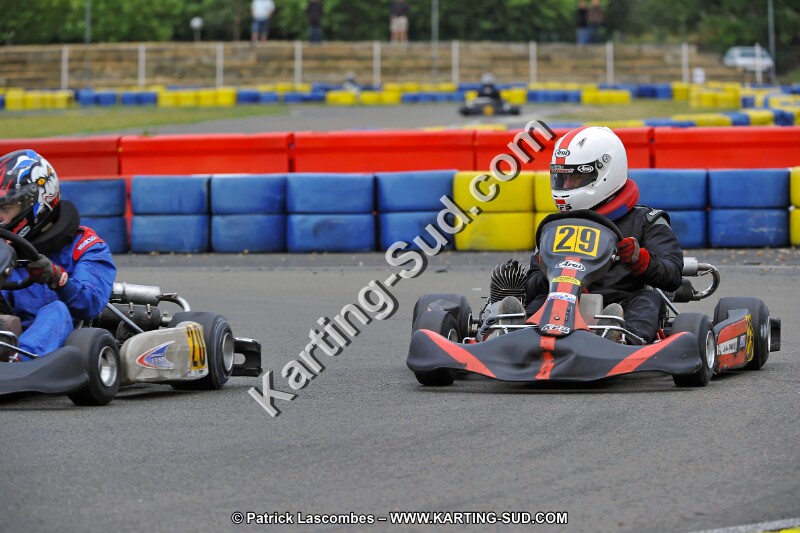 DSC_ (2290).jpg